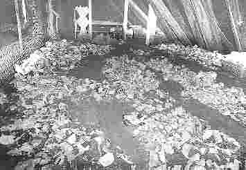 Dachraum des Schlosses